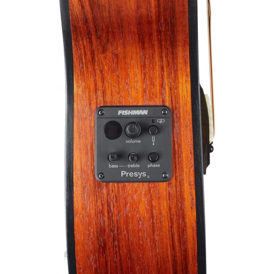 eq-dan-guitar-acoustic-cort-little-cj-blackwood-open-pore-light-burst-edc5