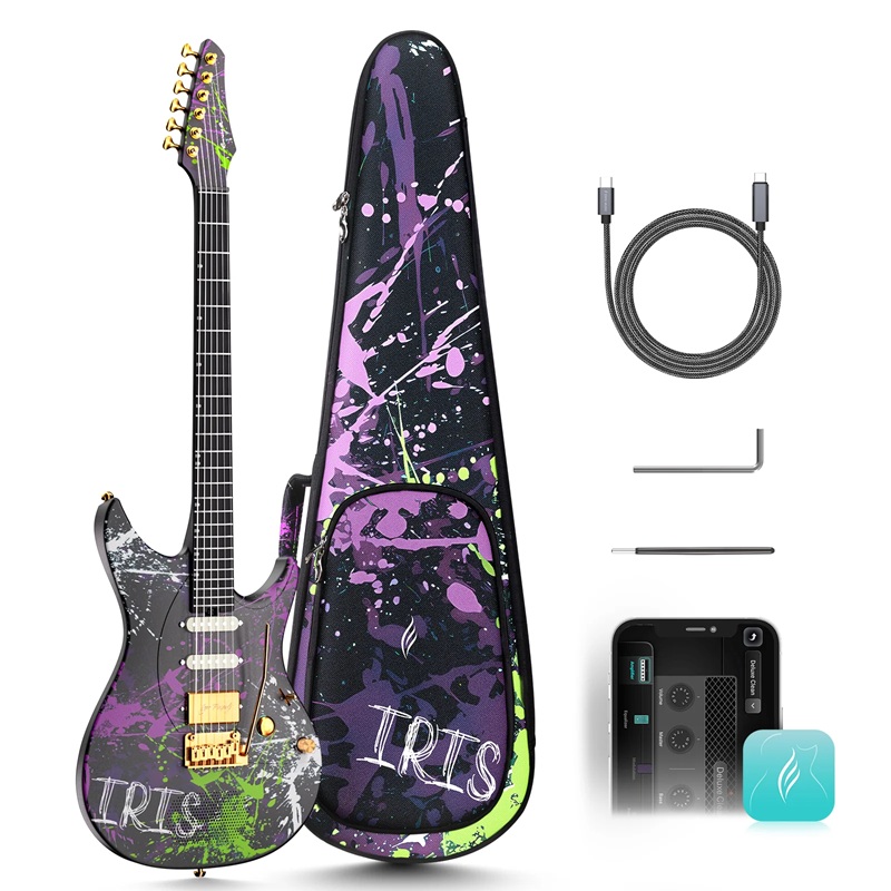 dan-guitar-dien-enya-inspire-igor-full-phu-kien