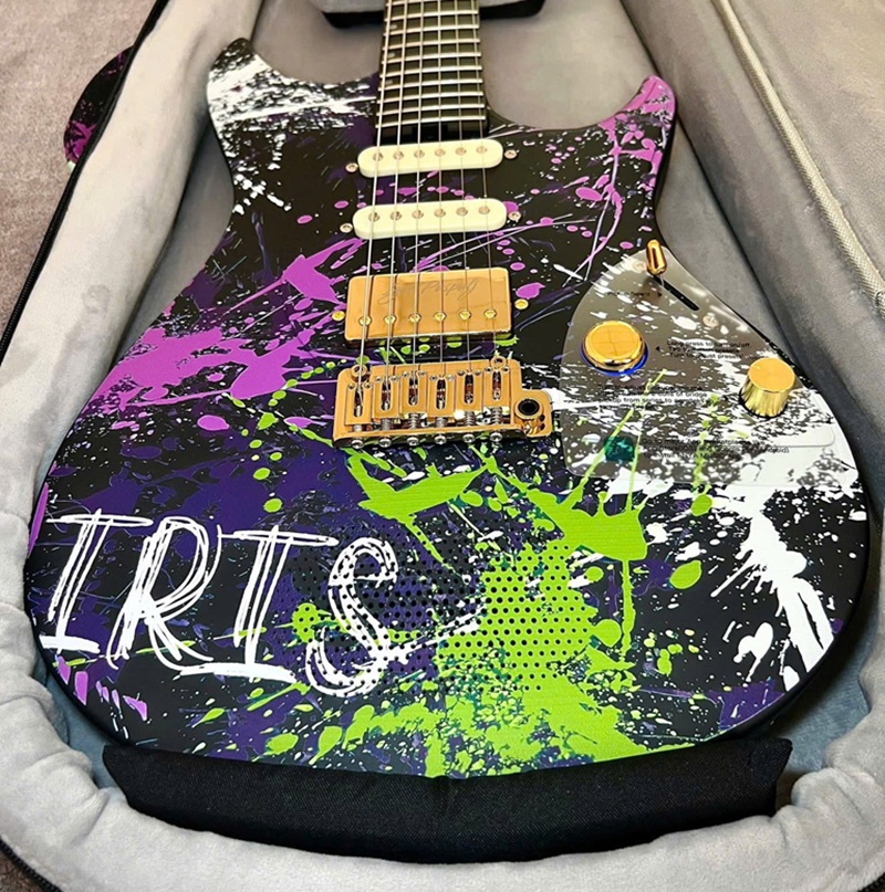 guitar-dien-enya-inspire-igor-mat-top
