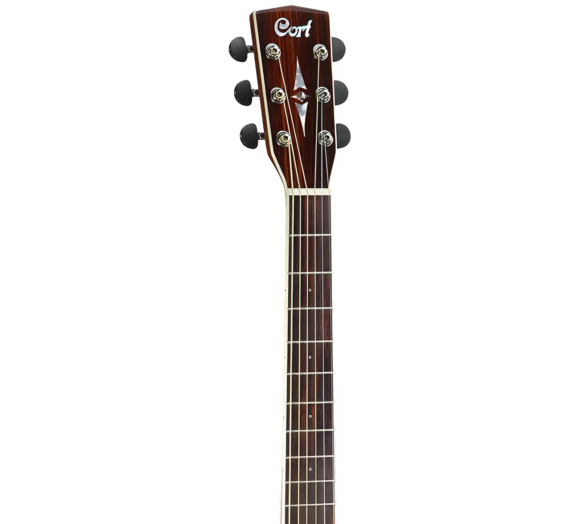 dan-guitar-acoustic-cort-mr730fx-can-dan