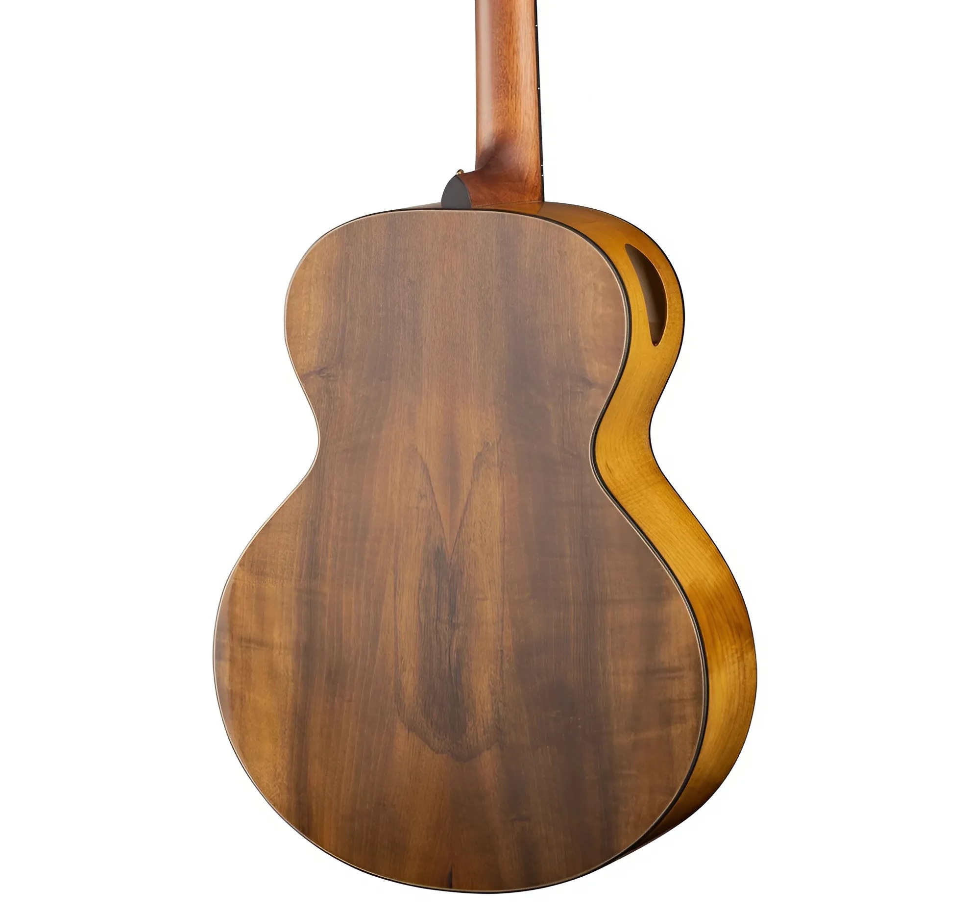 dan-guitar-acoustic-cort-cut-craft--lung-hong