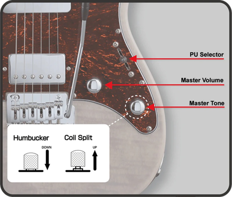 dan-guitar-dien-esp-grassroots-gsnapper-ctmp-hs-rosewood-fingerboard-pickup