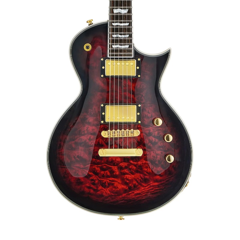 dan-guitar-dien-grassroots-geclipse-ctm-gcb-hh-ebony-fingerboard-mat-top