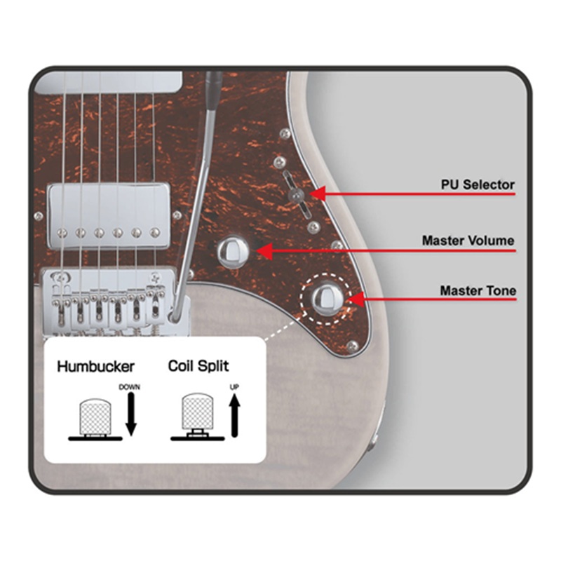 dan-guitar-dien-grassroots-gsnapper-24m-hss-maple-fingerboard-pickup