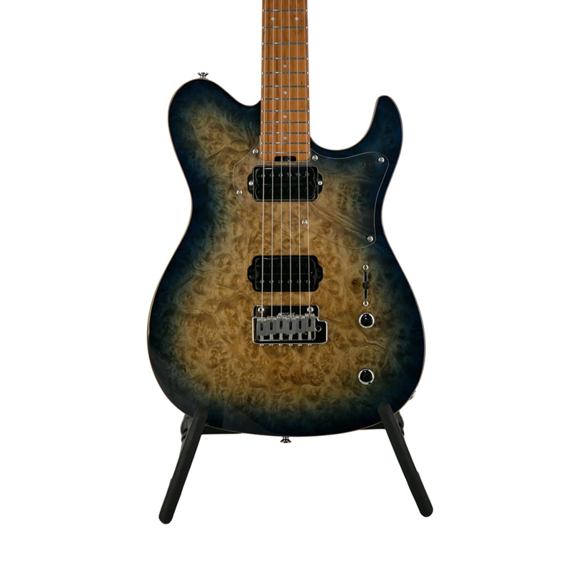 dan-guitar-dien-grassroots-gthrobber-ctmwk-hh-maple-fingerboard-mat-top