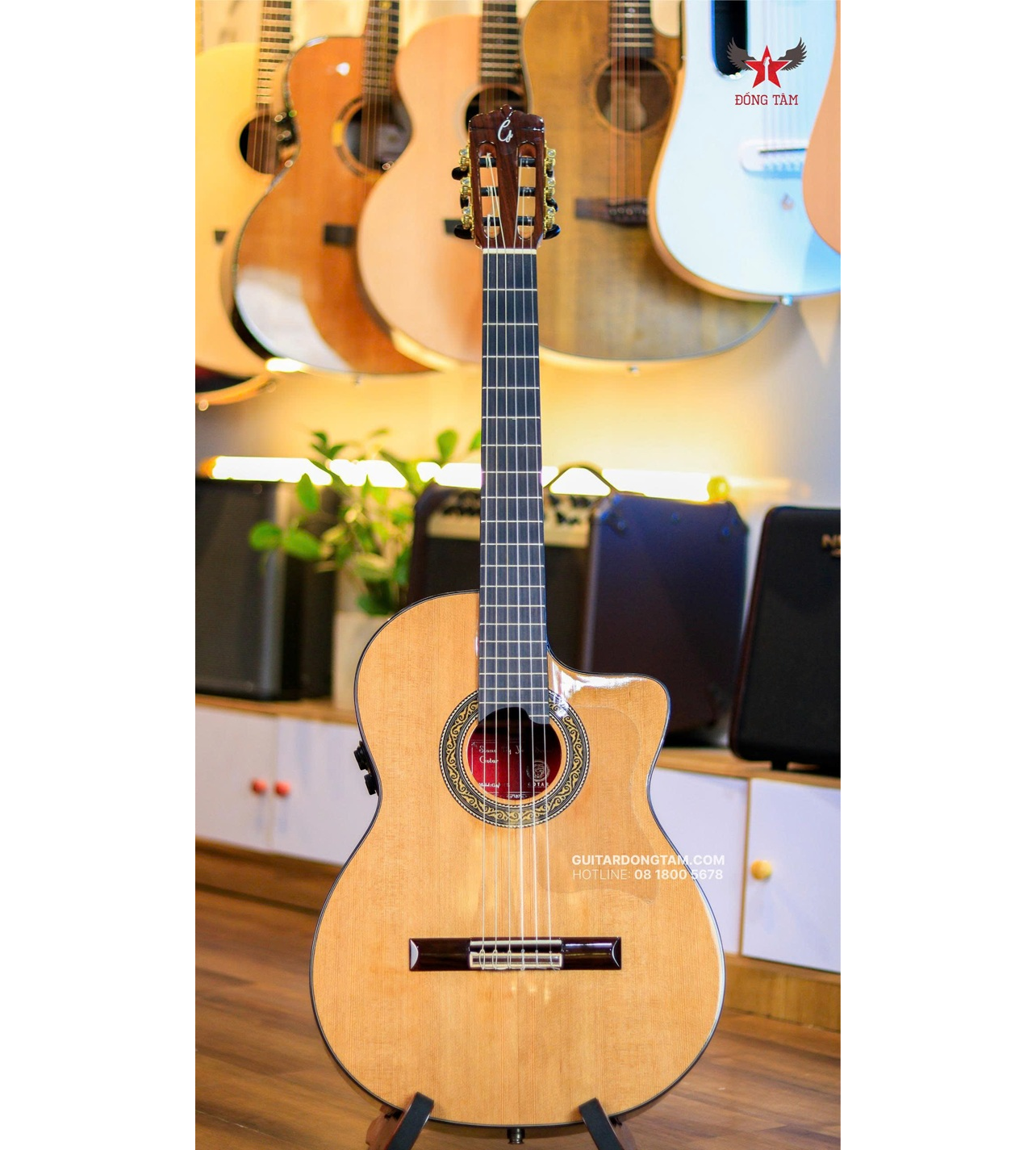 top-guitar-classic-hay-nhat-2026