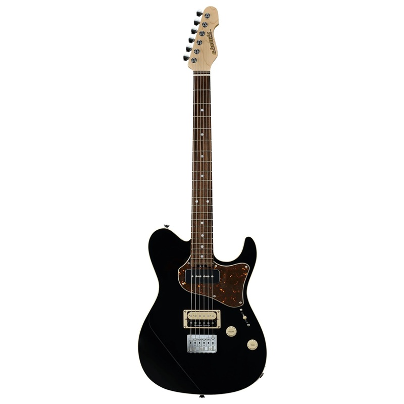 guitar-dien-edwards-ethrobber-hs-rosewood-fingerboard
