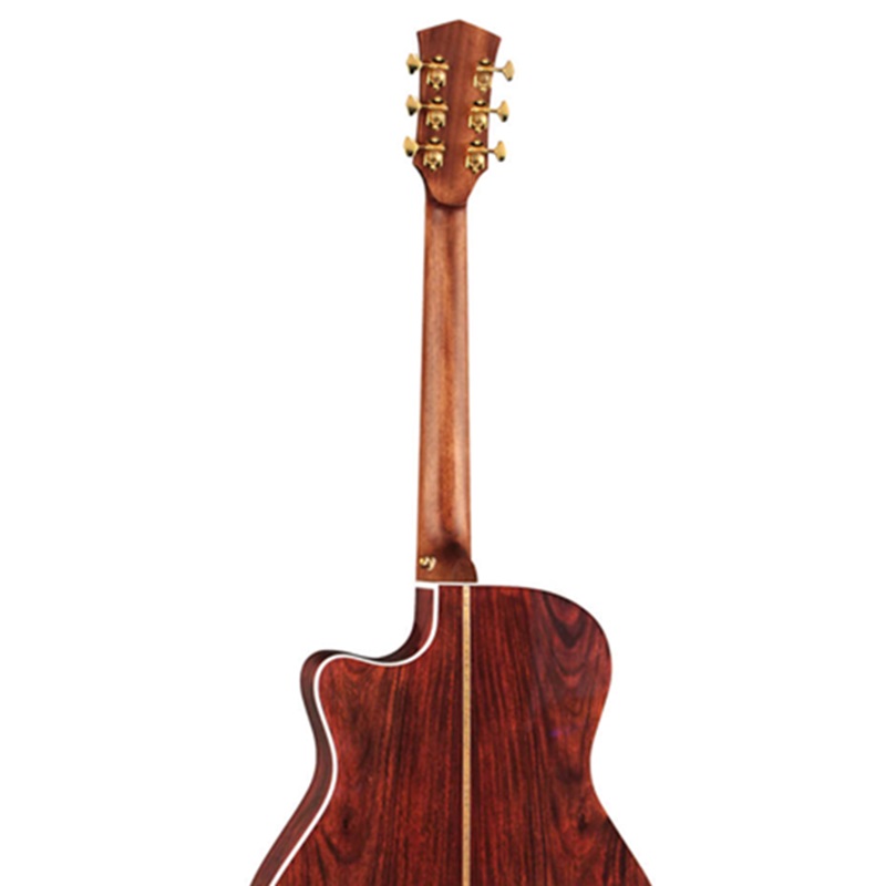 dan-guitar-acoustic-cort-golda8-can-dan