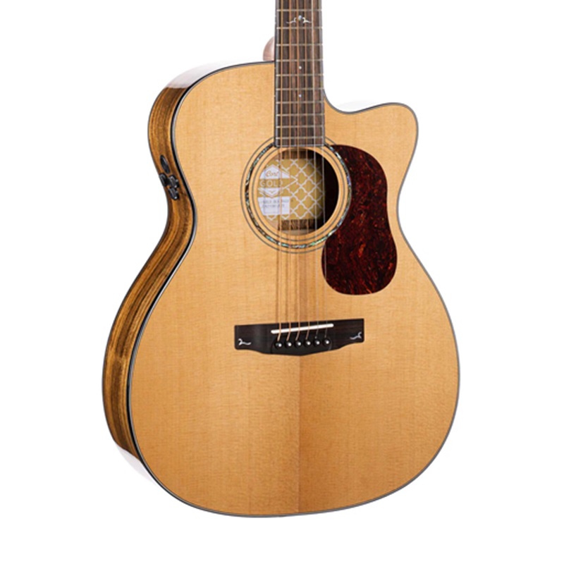 dan-guitar-acoustic-cort-golddc6-natural-glossy-mat-top