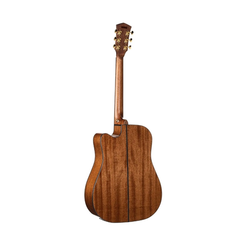 dan-guitar-acoustic-cort-golddc6-natural-glossy-lung-va-hong
