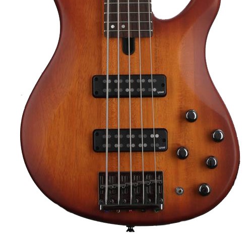 chat-am-dan-guitar-bass-yamaha-trbx505-hh-rosewood-fingerboard--5-strings