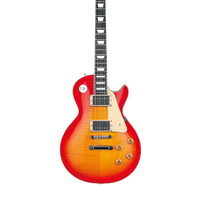 dan-guitar-dien-edwards-elp125sd-hh-pau-ferro-fingerboard-mat-top