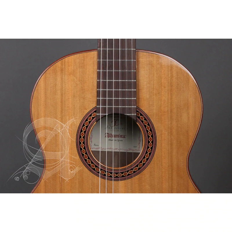dan-guitar-classic-alhambra-iberia-ziricote-mat-top