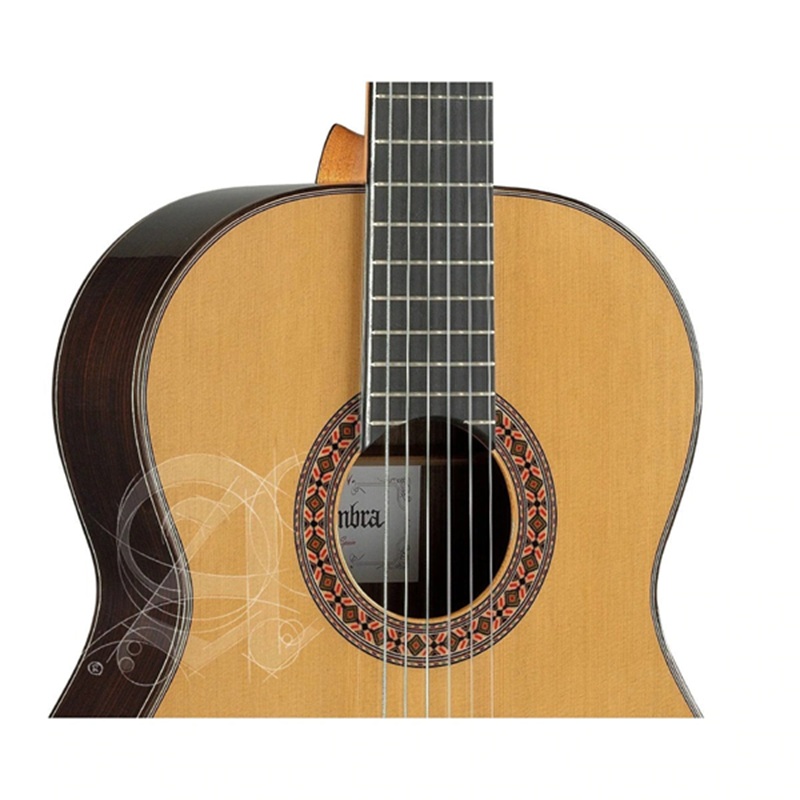 dan-guitar-classic-alhambra-8p-mat-top