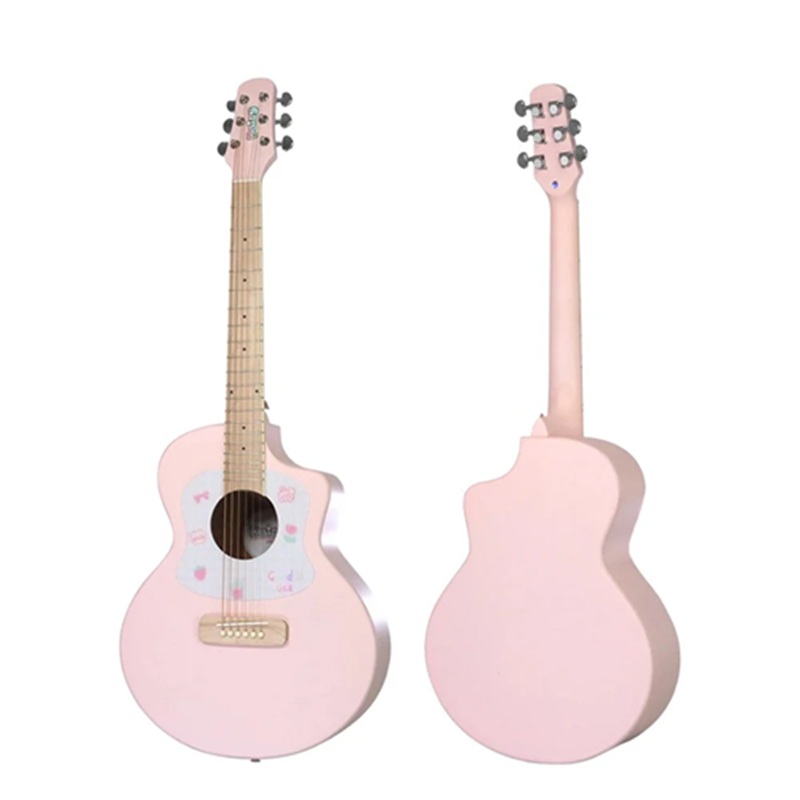 dan-guitar-acoustic-daisy-d100-pk