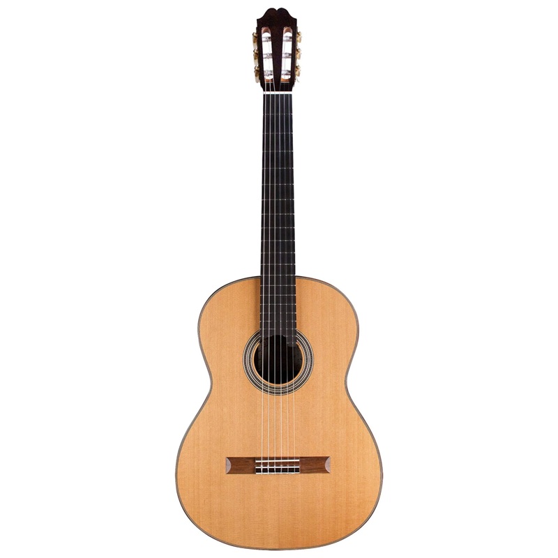 dan-guitar-classic-asturias-double-top--cedar