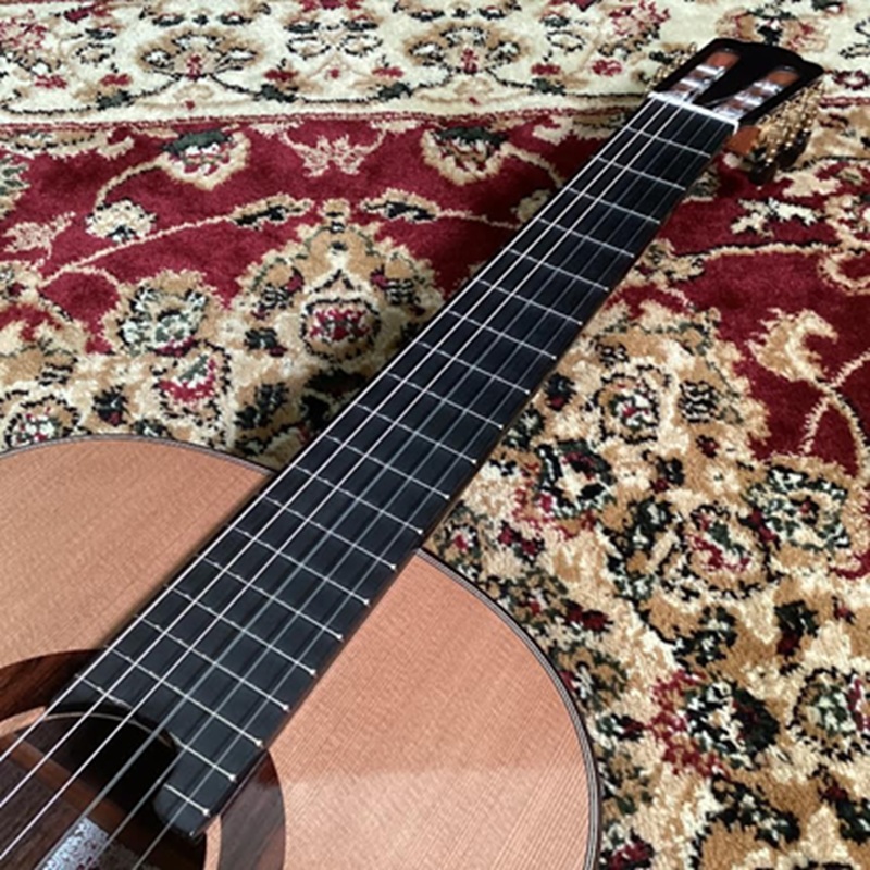 dan-guitar-classic-asturias-renaissance-c-640mm--cedar-2