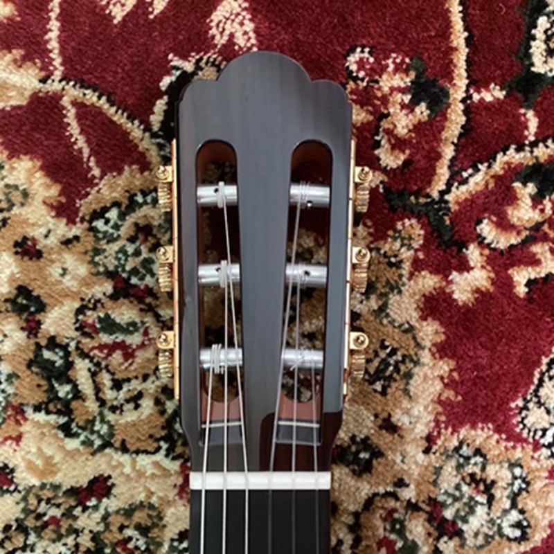 dan-guitar-classic-asturias-renaissance-c-640mm--cedar-4