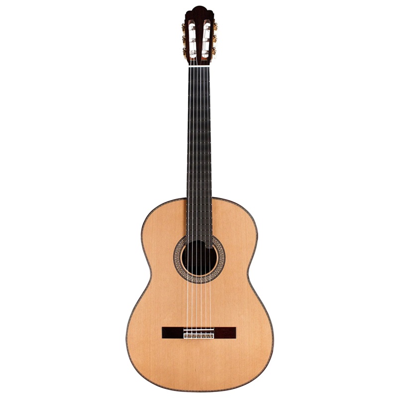 dan-guitar-classic-asturias-renaissance-c--cedar