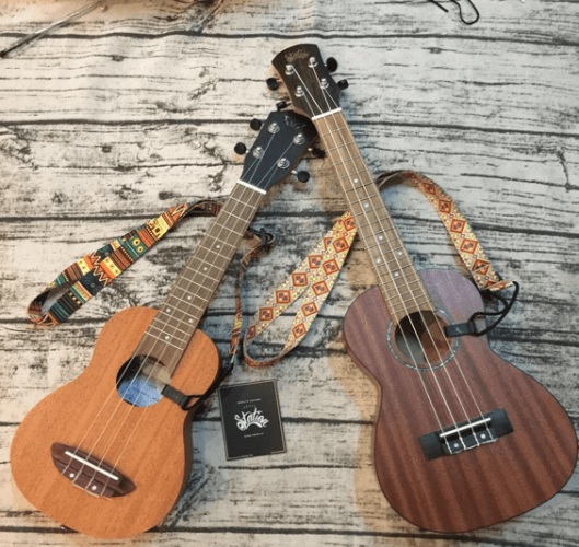 luu-y-khi-mua-ukulele