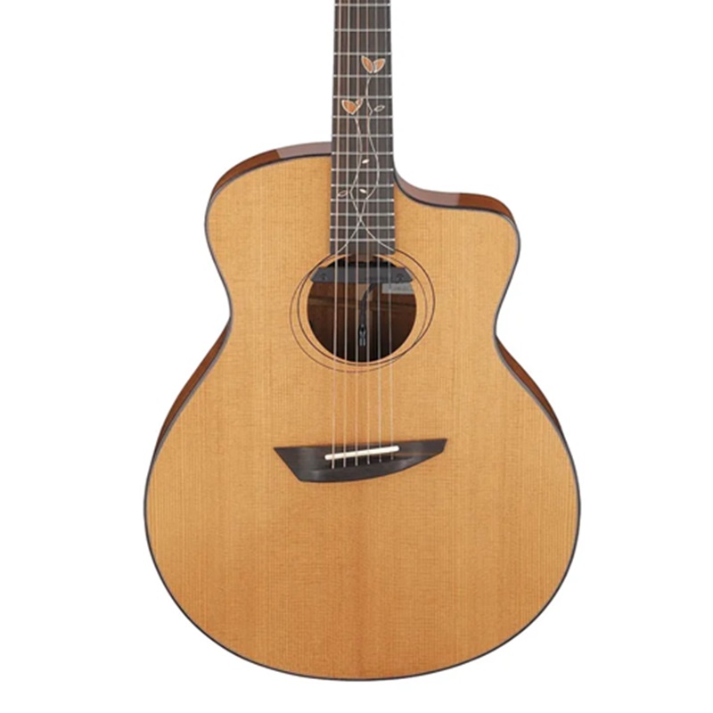 dan-guitar-acoustic-ibanez-jgm11-mat-top