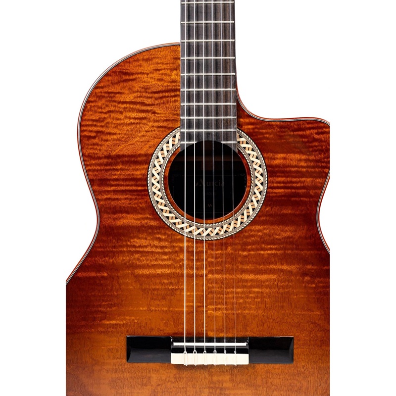 dan-guitar-classic-murcia-fusion-shadow-3