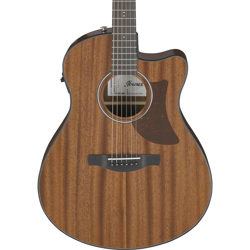 dan-guitar-acoustic-ibanez-aam54ce-mat-top