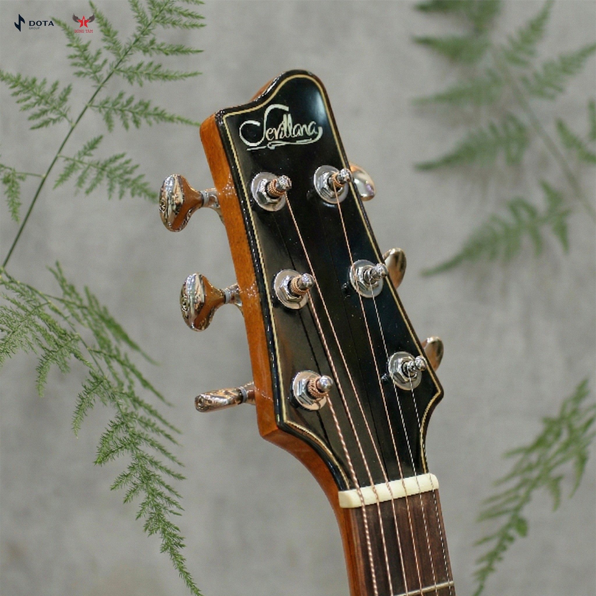 khoa-dan-guitar-acoustic-sevilana-ss6-ga