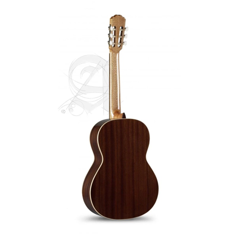 dan-guitar-classic-alhambra-2c-mat-lung-va-hong