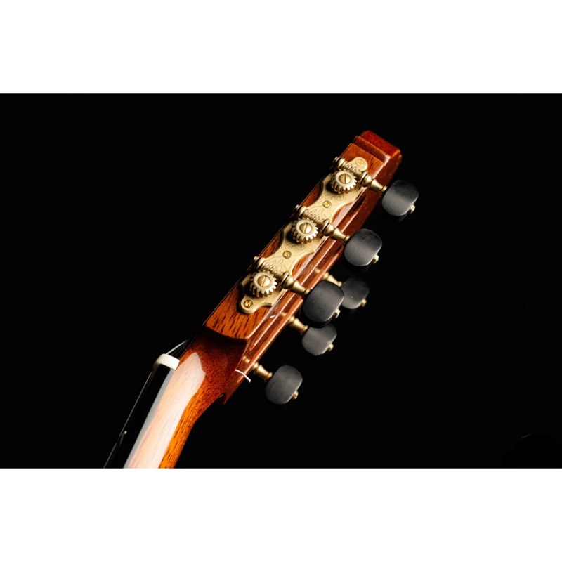 dan-guitar-classic-so-kimishima-sol-cedar-4