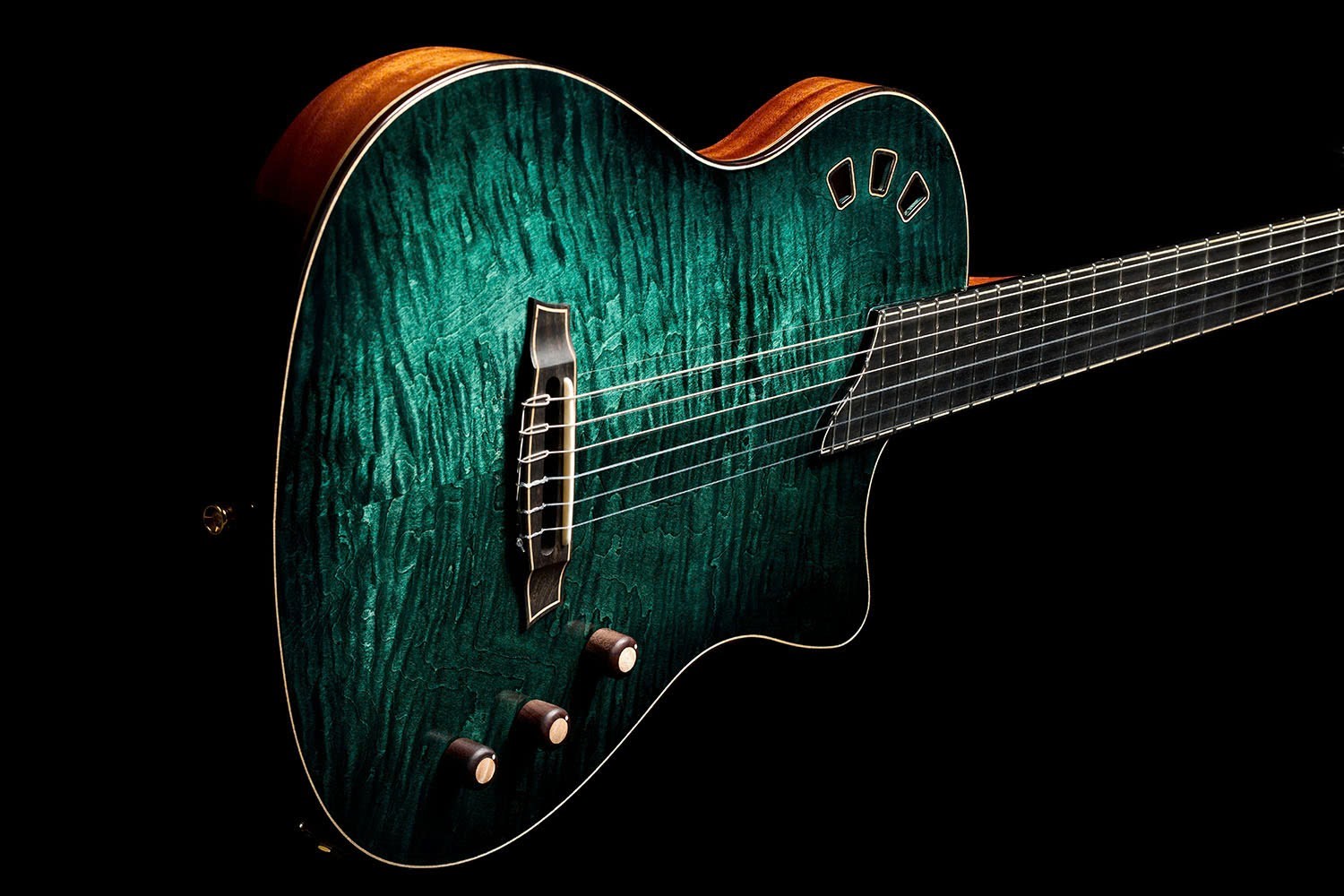 he-thong-stage-pickup-system-fishman-tren-dan-guitar-cordoba-stage-artist-agave-burst
