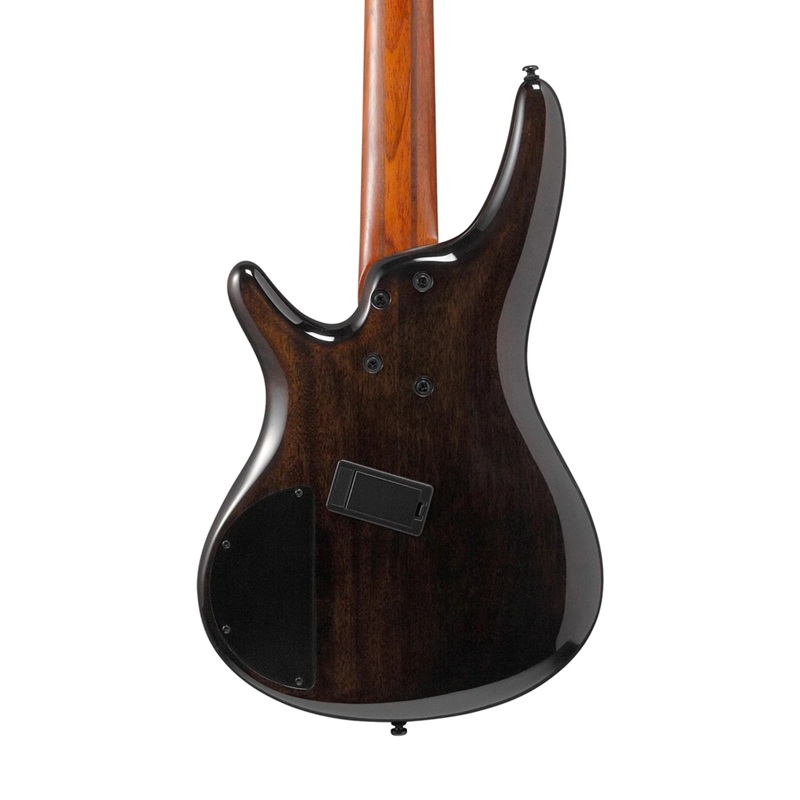 dan-guitar-bass-ibanez-srms805-hh-panga-panga-fingerboard--5-strings-3