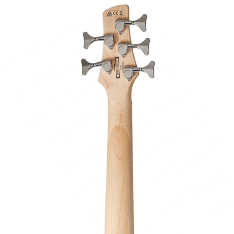 dan-guitar-bass-ibanez-srmd205-ss-maple-fingerboard--5-strings-5