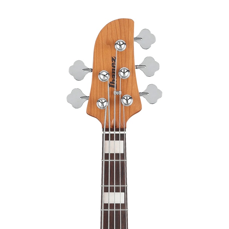 dan-guitar-bass-ibanez-tmb405ta-ss-rosewood-fingerboard--5-strings-4