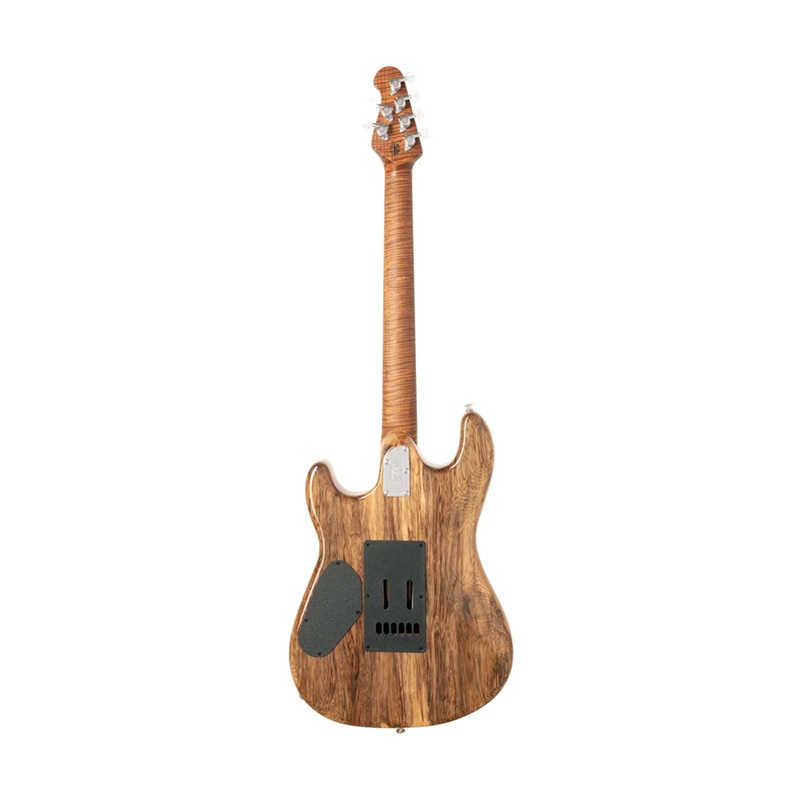 dan-guitar-dien-ernie-ball-music-man-winter-2021-bfr-sabre-mat-lung-va-hong
