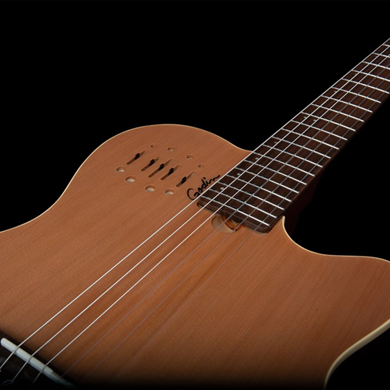 dan-guitar-silent-classic-godin-multiac-nylon-encore-natural-sg