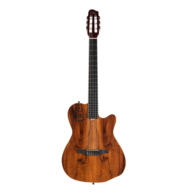 dan-guitar-silent-classic-godin-acs-nylon-koa-extreme-hg