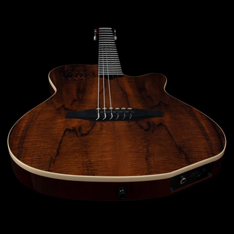 dan-guitar-silent-classic-godin-acs-nylon-koa-extreme-hg