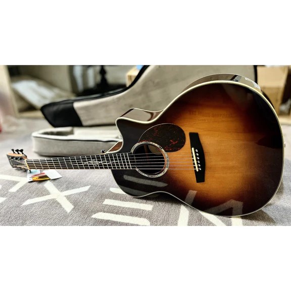 dan-guitar-acoustic-enya-egaq1-pro-eq