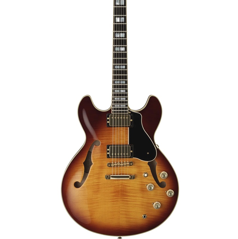 dan-guitar-dien-yamaha-sa2200-semi-hollowbody-mat-top