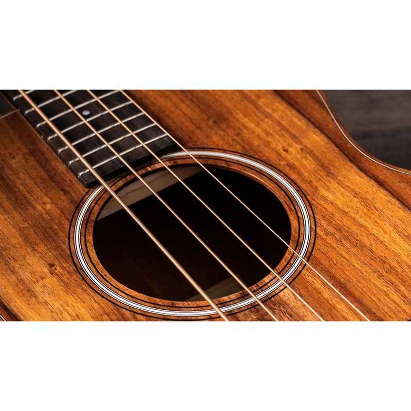 dan-guitar-bass-acoustic-taylor-gs-minie-koa--4-strings-day-dan