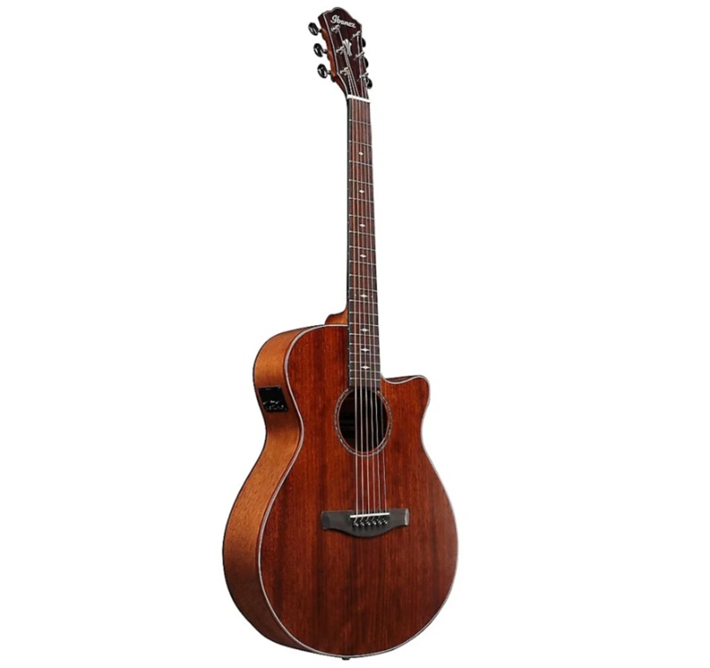 dan-guitar-acoustic-ibanez-aeg220-natural-low-gloss-1