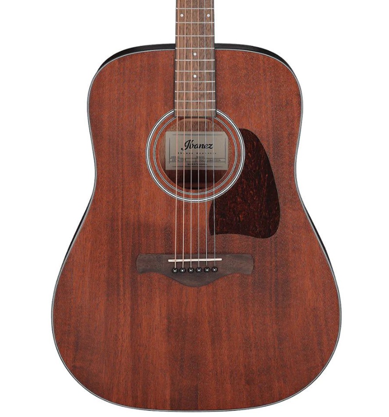 dan-guitar-acoustic-ibanez-aw54-mat-top