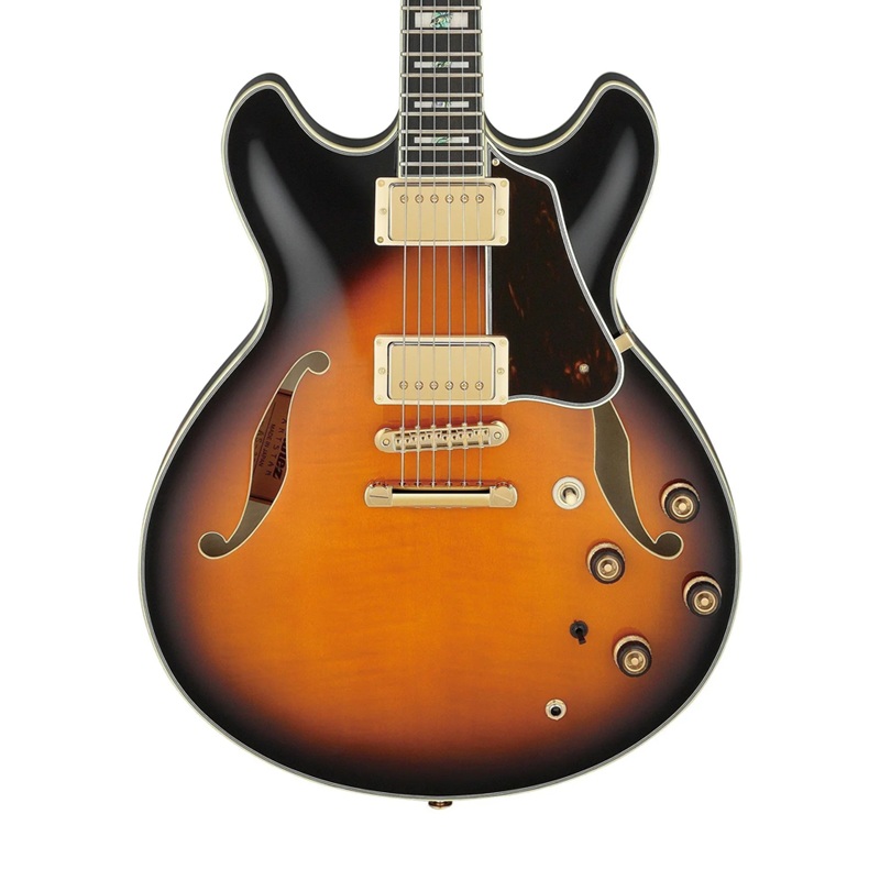 dan-guitar-dien-ibanez-as2000-hh-ebony-fingerboard-2