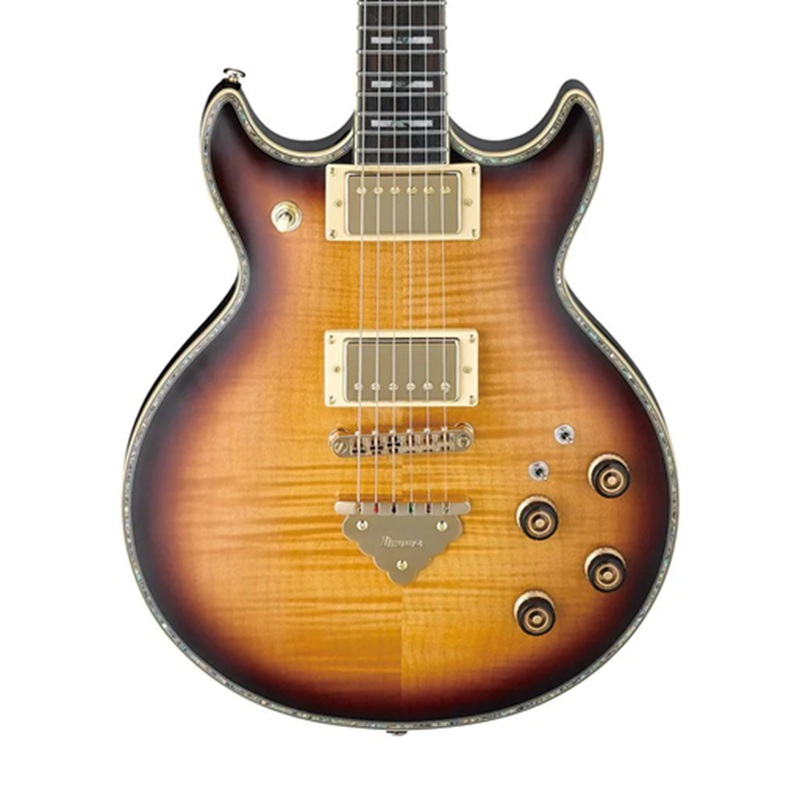 dan-guitar-dien-ibanez-ar420-hh-jatoba-fingerboard-2