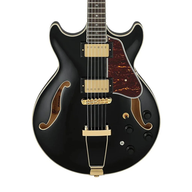 dan-guitar-dien-ibanez-amh90-hh-ebony-fingerboard-2