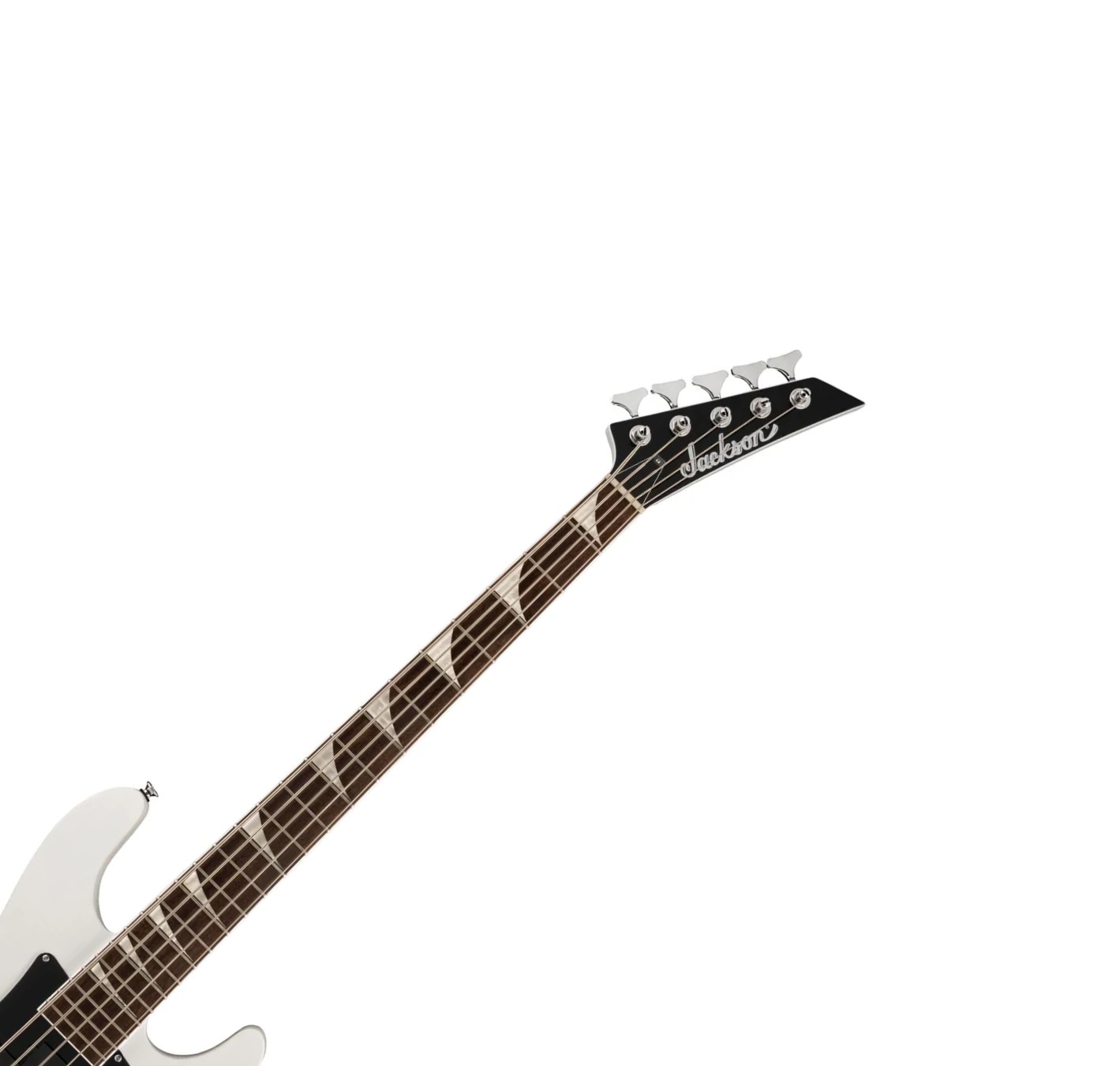 mat-phim-laurel-compound-radius-giup-dan-guitar-bass-jackson-x-series-concert-bass-cbxnt-dx-v-choi-cuc-nhanh