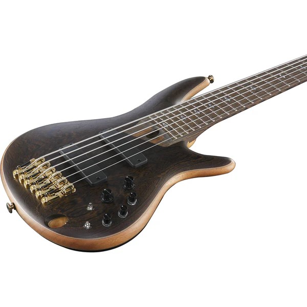 he-thong-pickup-cua-dan-guitar-bass-ibanez-sr5006-ss