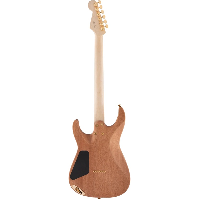 dan-guitar-dien-charvel-promod-dk24-hh-ht-m-mahogany-with-figured-walnut-maple-fingerboard-natural-mat-lung-va-hong