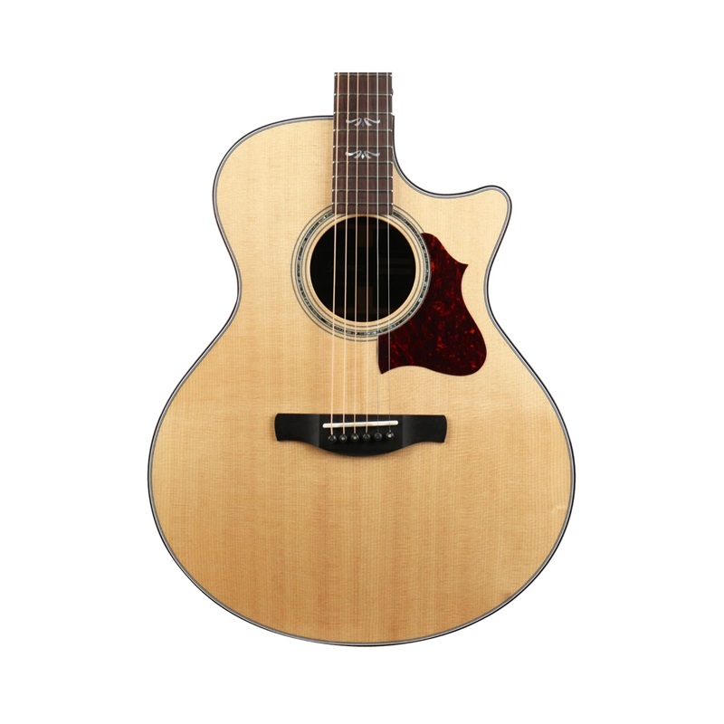 dan-guitar-acoustic-ibanez-ae500-natural-mat-top